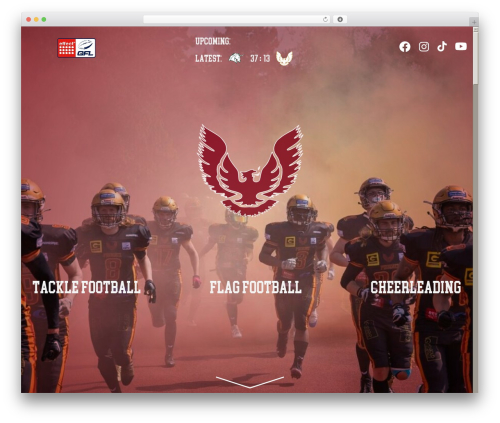 Danubius Wordpress Theme WordPress theme - regensburg-phoenix.com