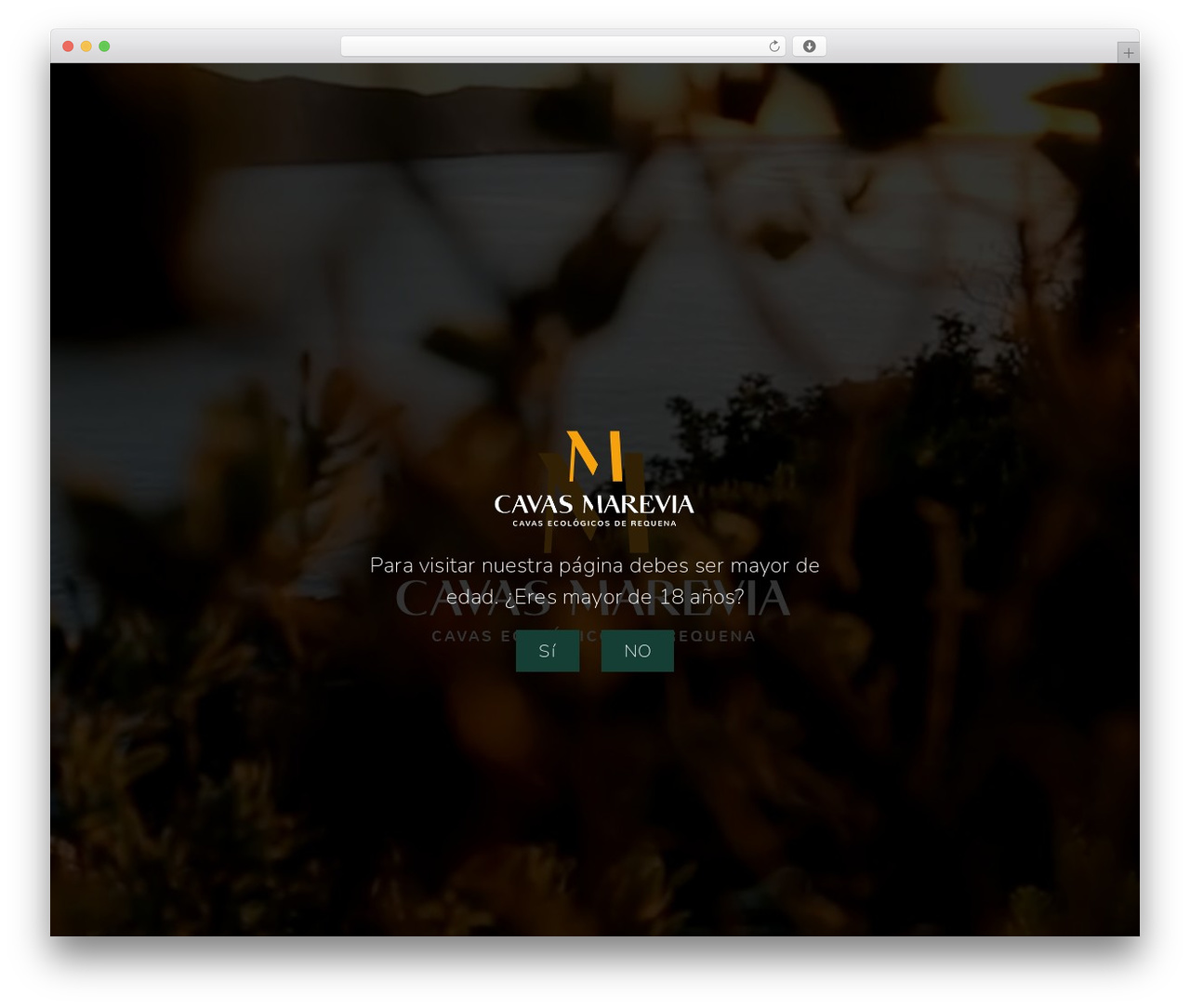 Hello Elementor free WordPress theme - marevia.com Hello Elementor free WordPress theme - marevia.com