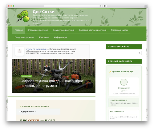 Flatpm wp WordPress plugin - 2sotki.ru
