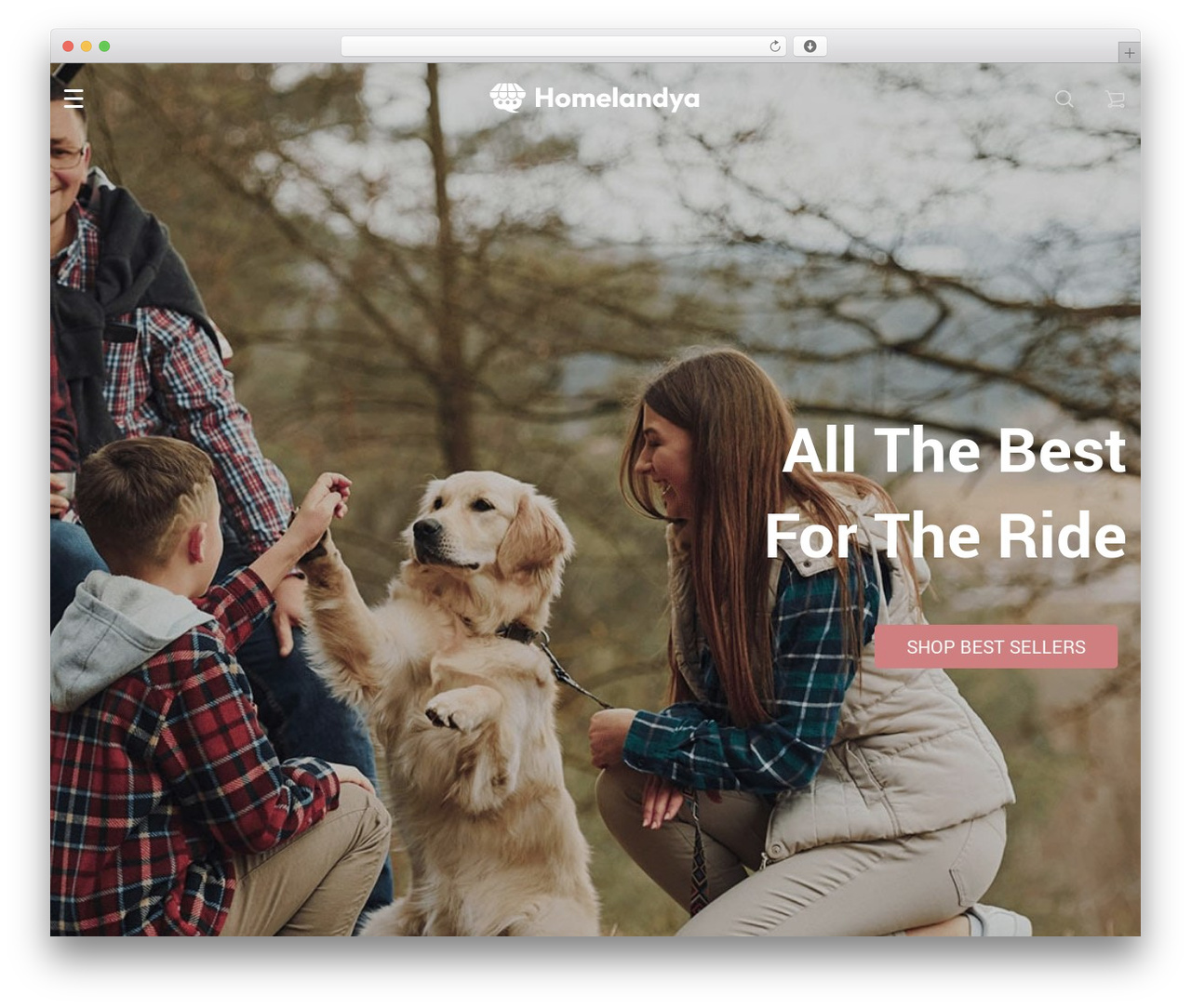 Rubens Child WordPress ecommerce theme - homelandya.com
