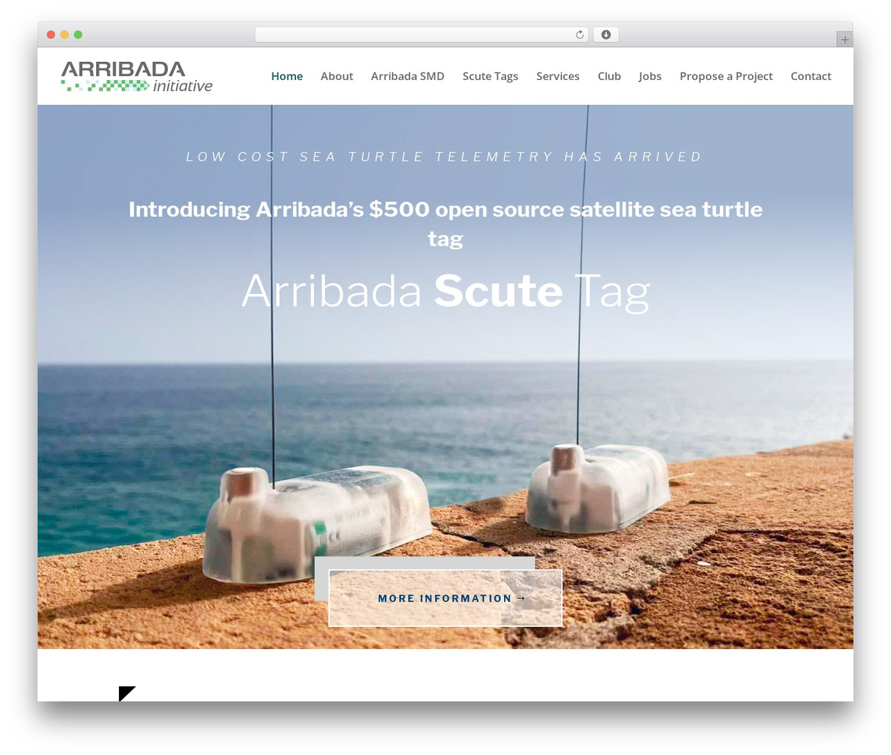 Theme WordPress Divi - arribada.org