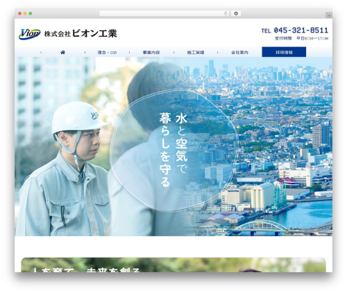 WP theme （株）ビオン工業 - vionets.com