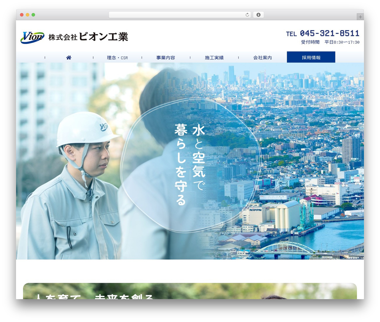 WP theme （株）ビオン工業 - vionets.com