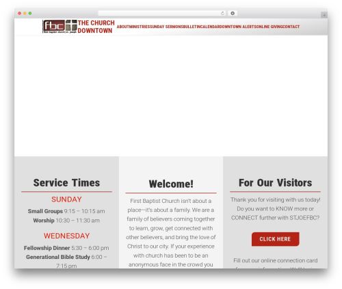 Acf grandchild master WordPress plugin - stjoefbc.com