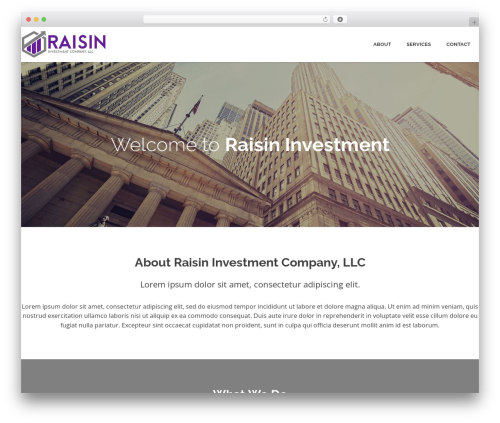 Alpha WordPress theme - raisininvestments.com