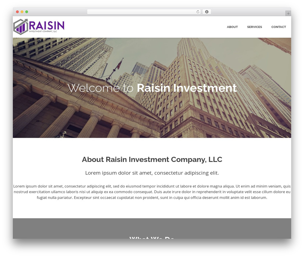 Raisin Investment Company WordPress theme - raisininvestments.com