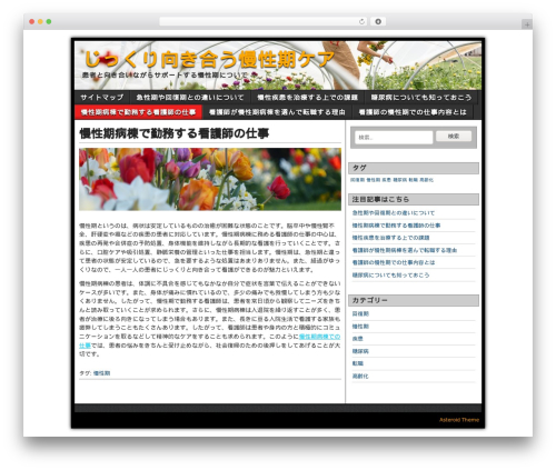 Asteroid free WP theme - viewenmorevilla.com Asteroid free WP theme - viewenmorevilla.com