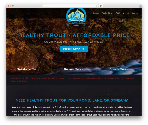 Beaver Builder Theme theme WordPress - stockrainbow.com