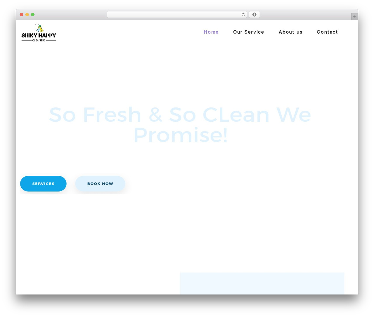 Best WordPress theme Cleaning Elementor - shinyhappycleaners.co.uk