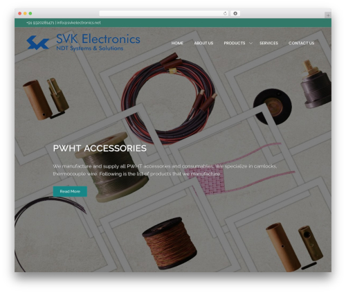 Bizbuzz theme WordPress - svkelectronics.net