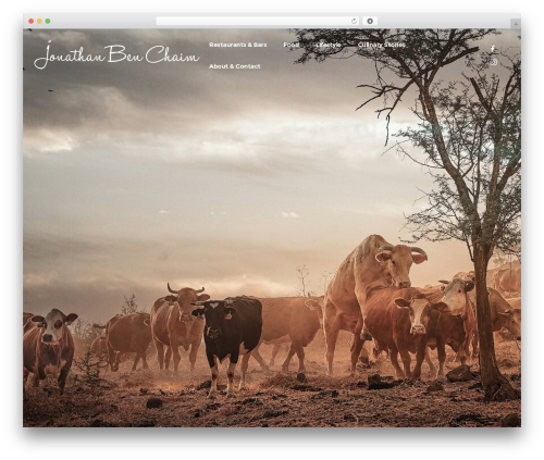 Brailie best WordPress theme - jonathanbenchaim.com