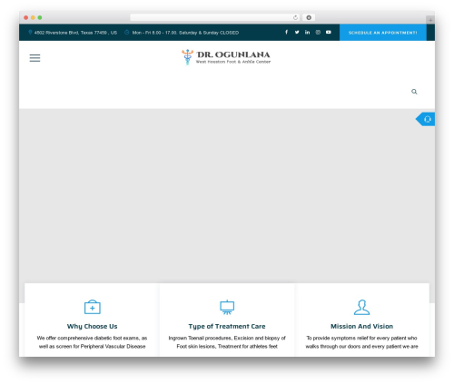 Brivona WordPress theme - drogunlana.com