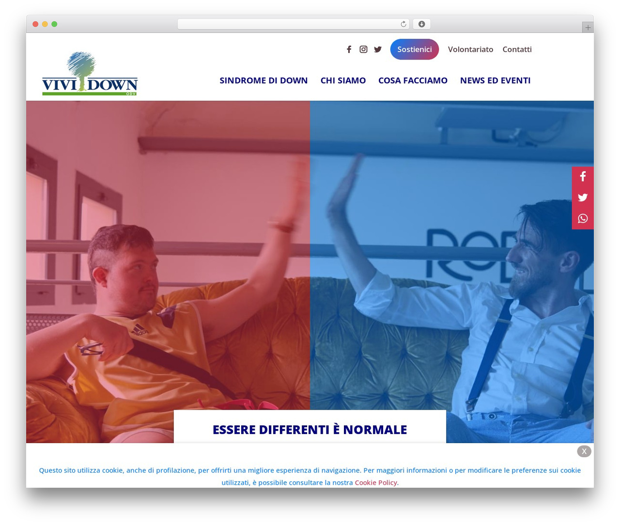 Divi best WordPress theme - vividown.org Divi best WordPress theme - vividown.org