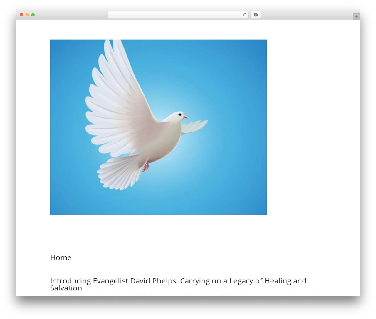 Divi theme WordPress - fgtministries.org