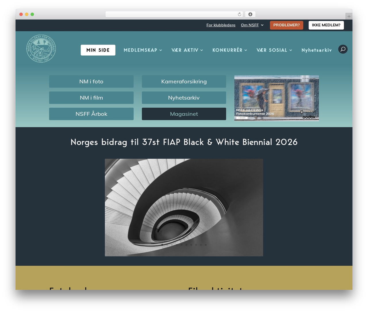 Divi WordPress theme design - nsff.no