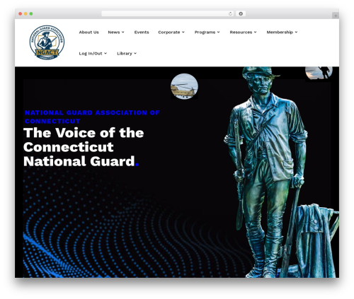 Divi WP theme - ngact.org