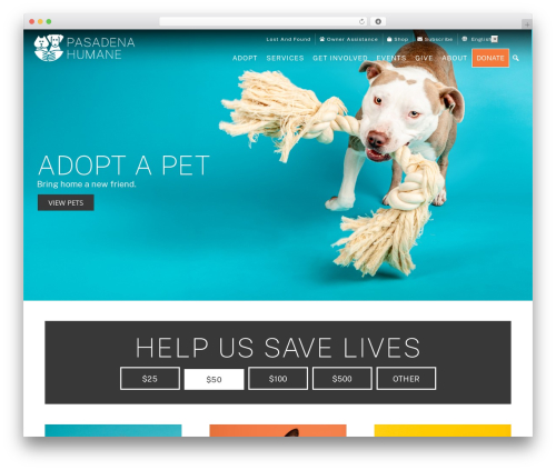 Styles layouts gf grid layouts WordPress plugin - pasadenahumane.org