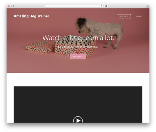Genesis WordPress website theme - amazingdogtrainer.com