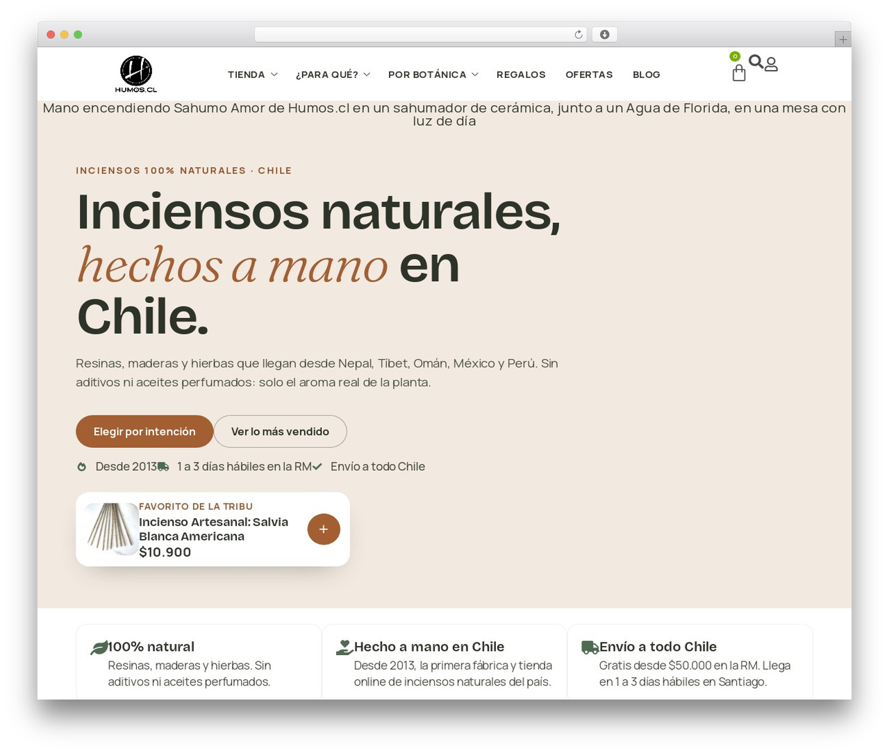 Hello Elementor theme WordPress - humos.cl