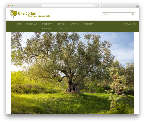 Add To Facebook (add-to-facebook-plugin) free WordPress plugin - olivicoltoritoscani.it