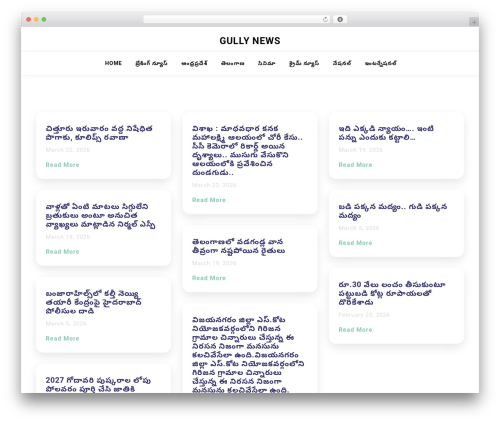 Moina WordPress theme - gullynews.xyz Moina WordPress theme - gullynews.xyz