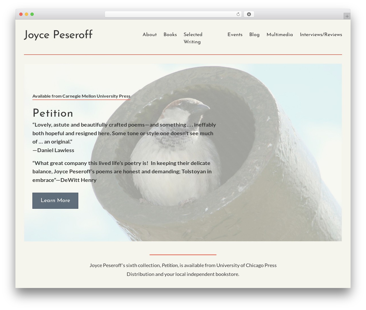 Peseroff Theme 2020 theme WordPress - joycepeseroff.com