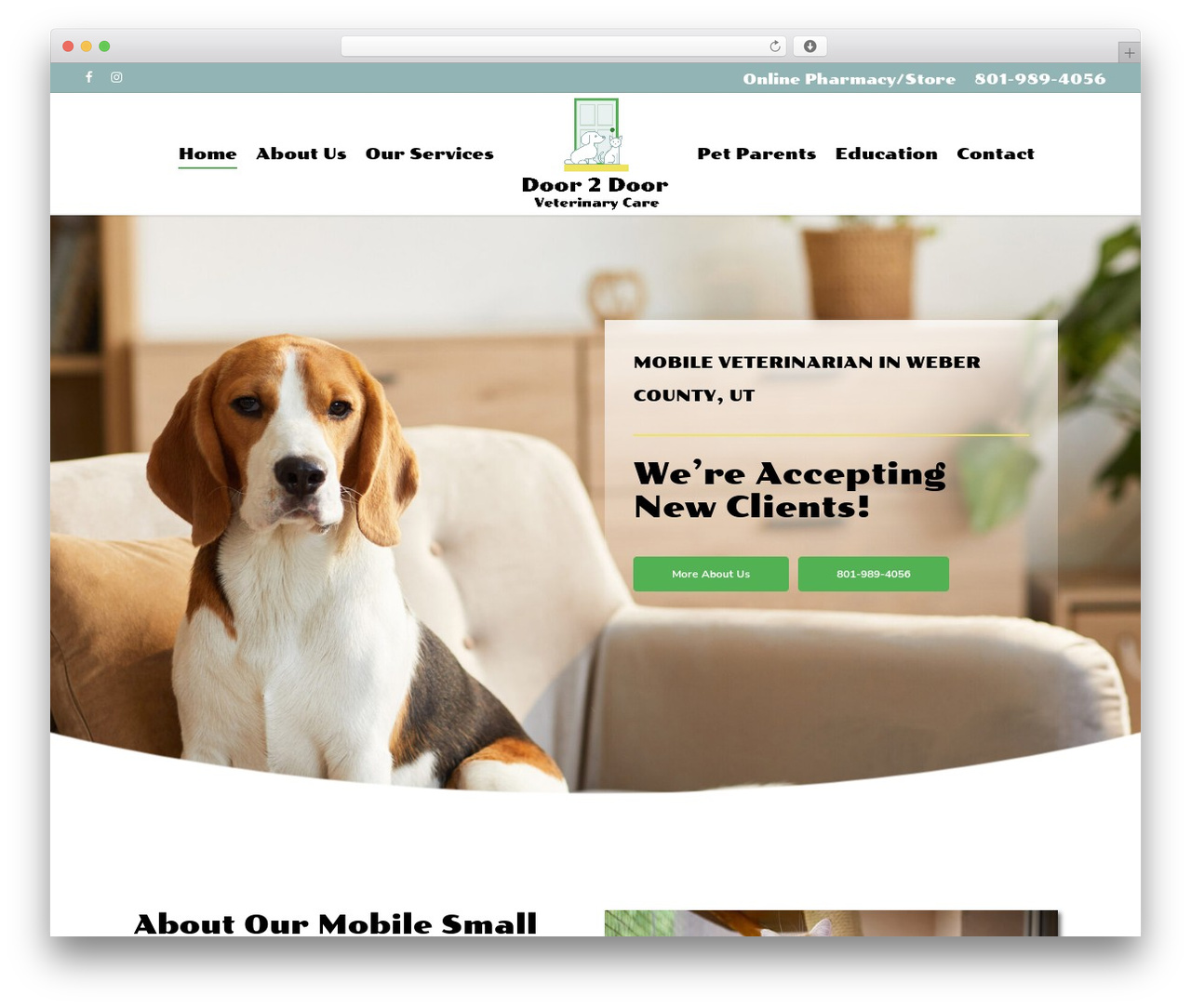 Salient theme WordPress - doorvetcare.com