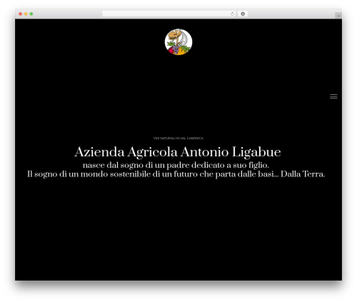 Okthemes saras social share WordPress plugin - agricolaligabueantonio.com