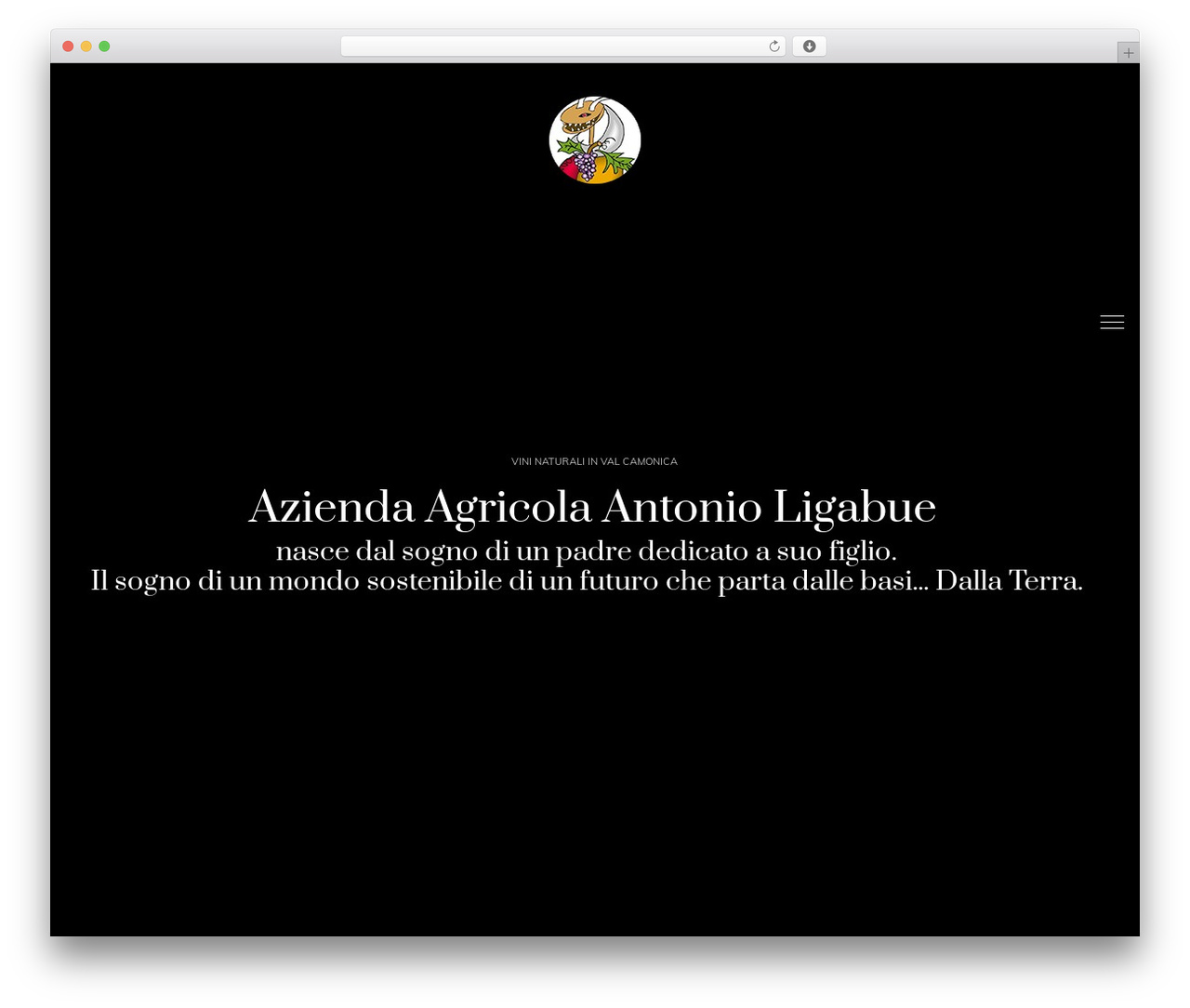 Saras WordPress theme - agricolaligabueantonio.com Saras WordPress theme - agricolaligabueantonio.com