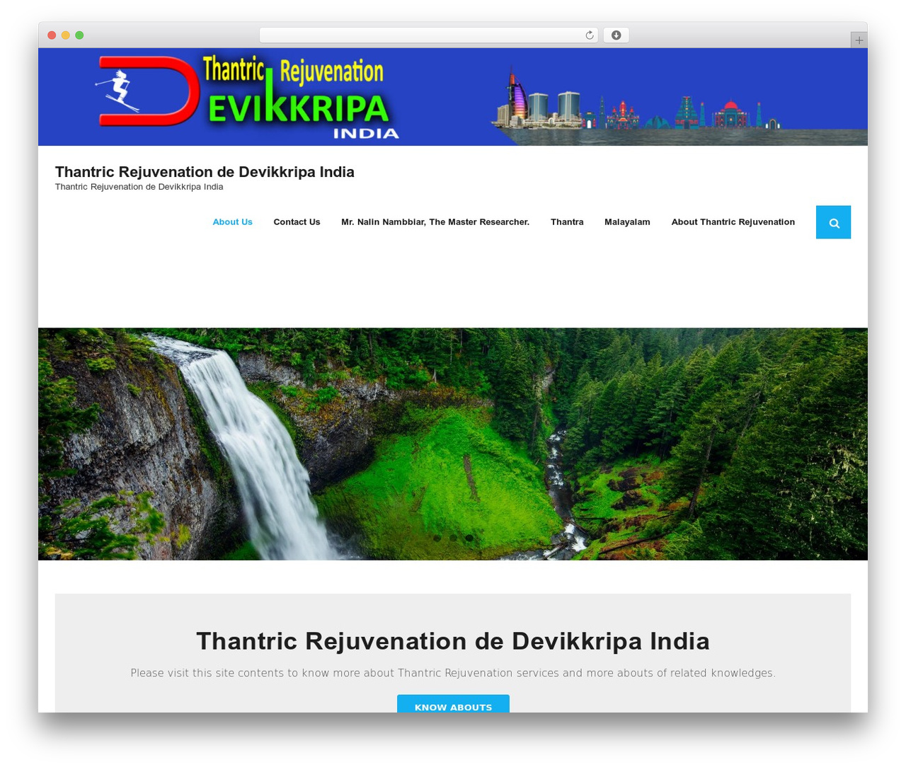 Shuttle premium WordPress theme - thantricrejuvenation.com