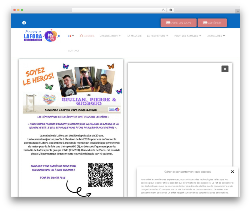 Web stat WordPress plugin - lafora.fr