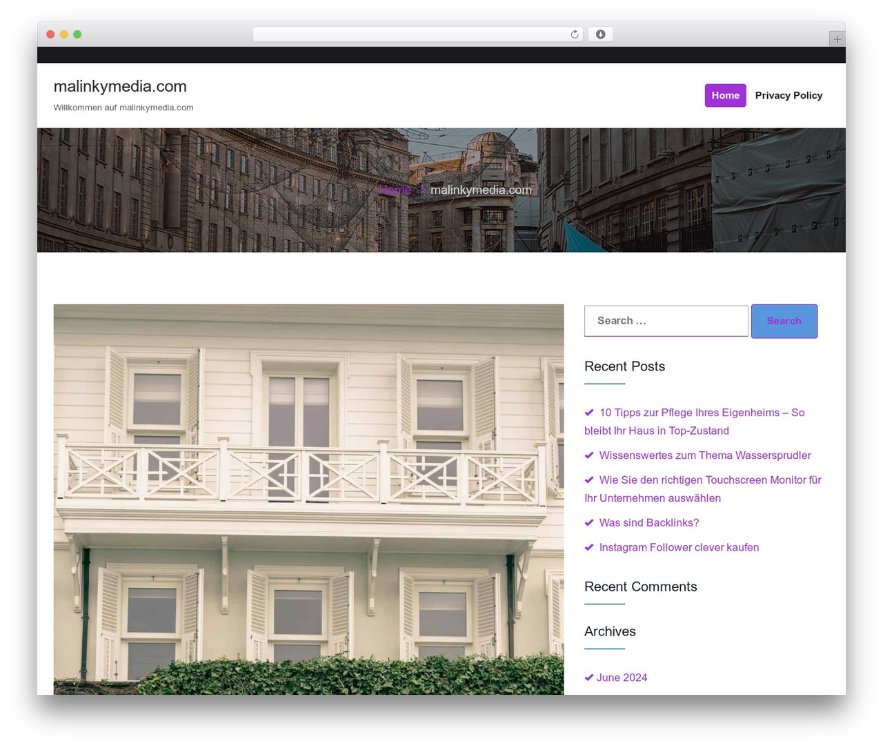 Theme WordPress Radon - malinkymedia.com