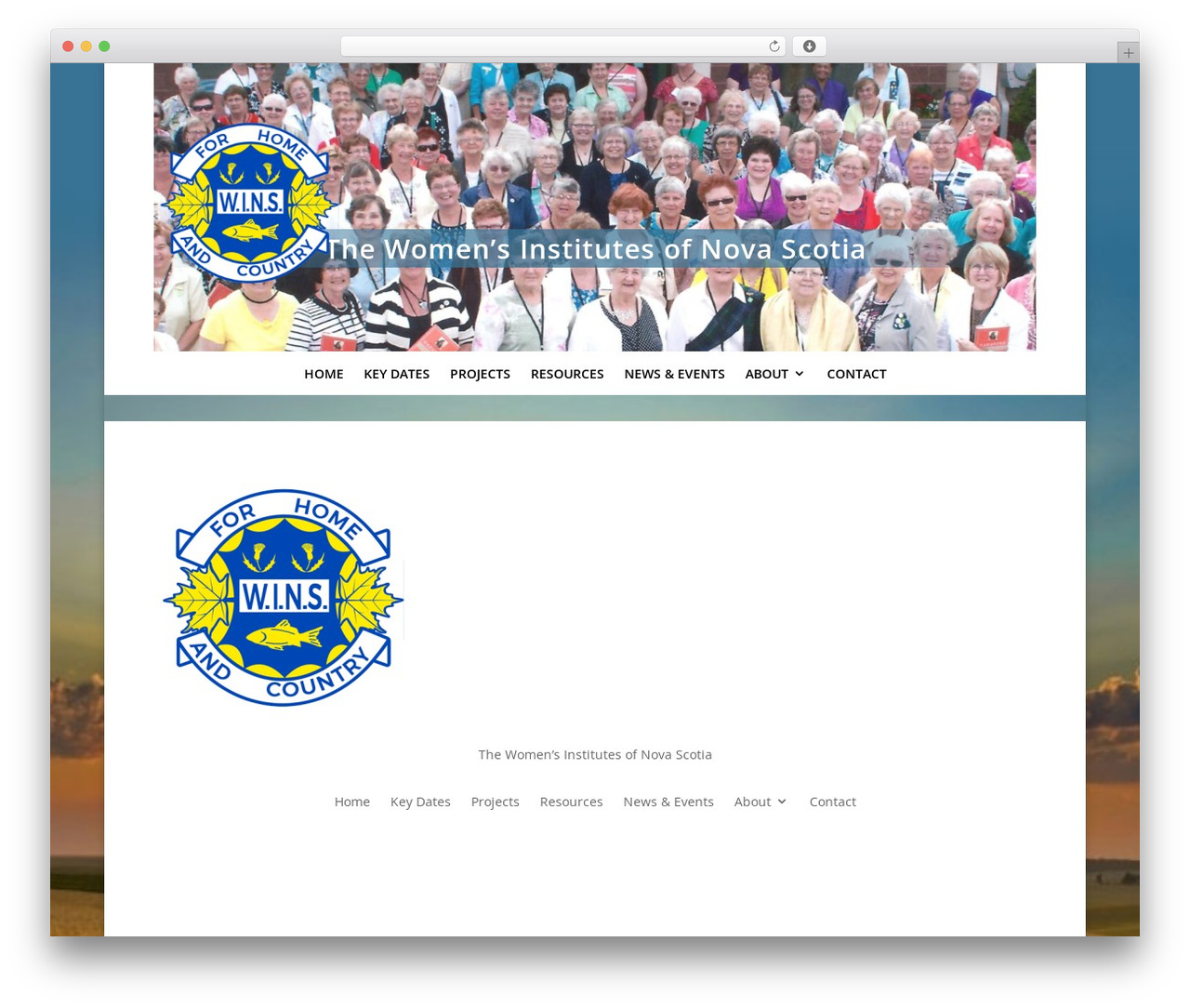 WordPress theme Divi - winovascotia.ca