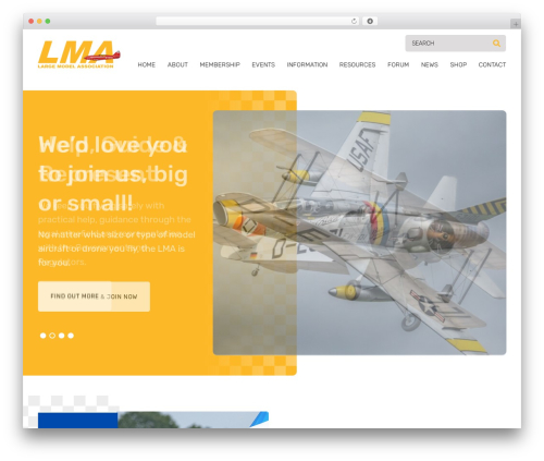 WordPress theme Large Model Association - largemodelassociation.com