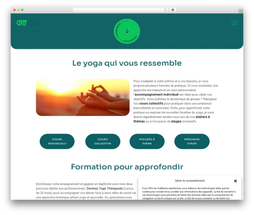 WordPress website theme Yoge - otiliamoreira.fr