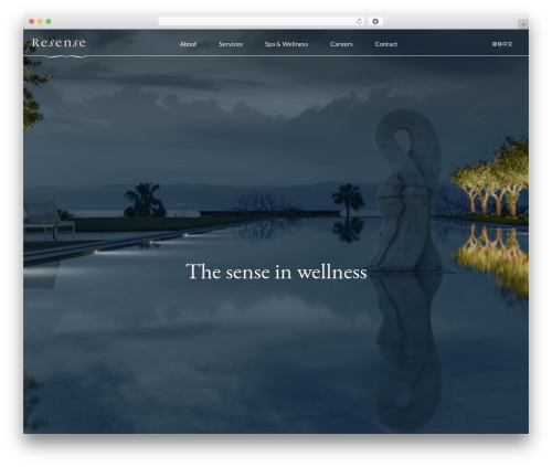 WP FRAMEWORK THEME WordPress theme - resensespas.com