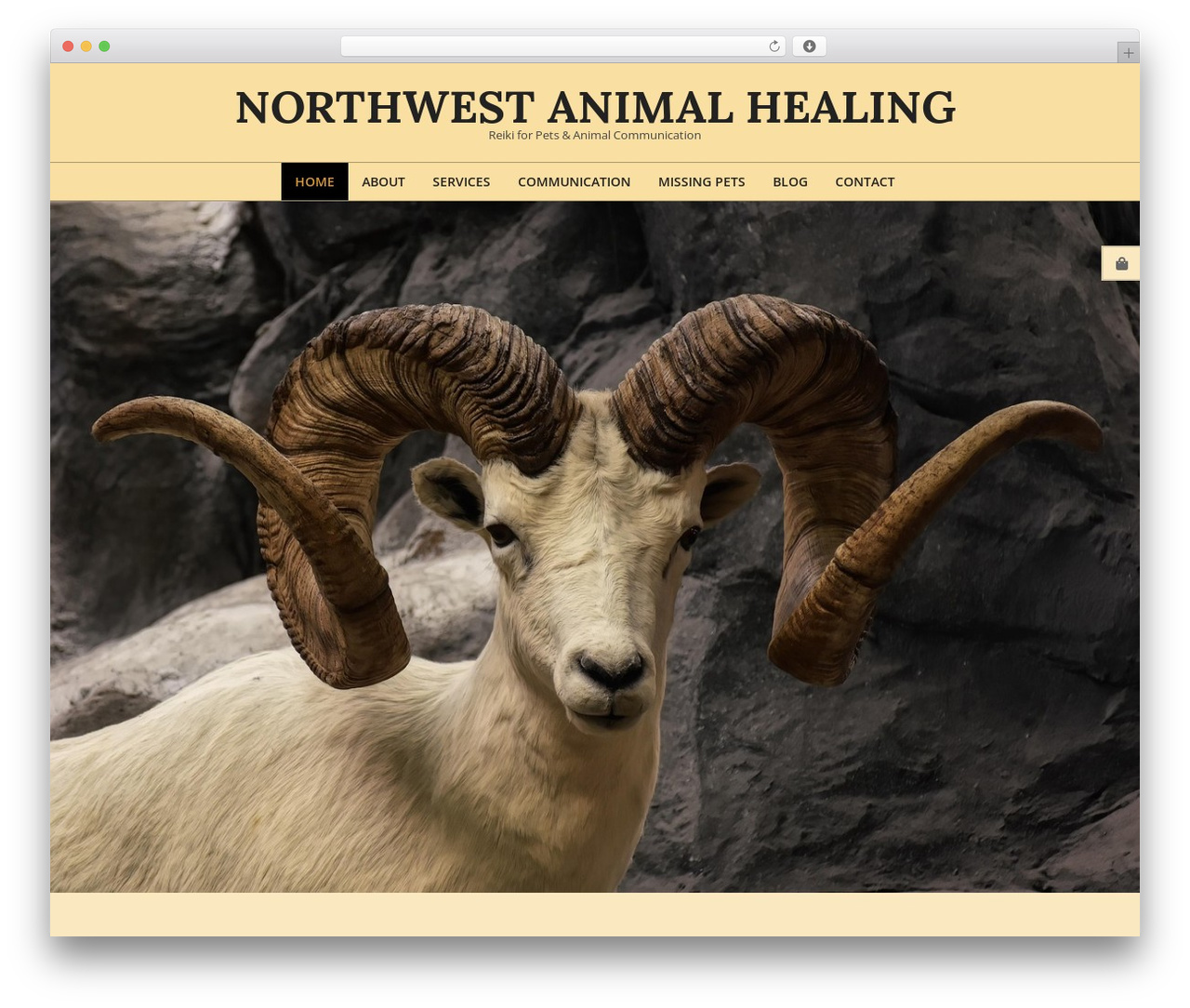 WP theme Unos - nwanimalhealing.com WP theme Unos - nwanimalhealing.com