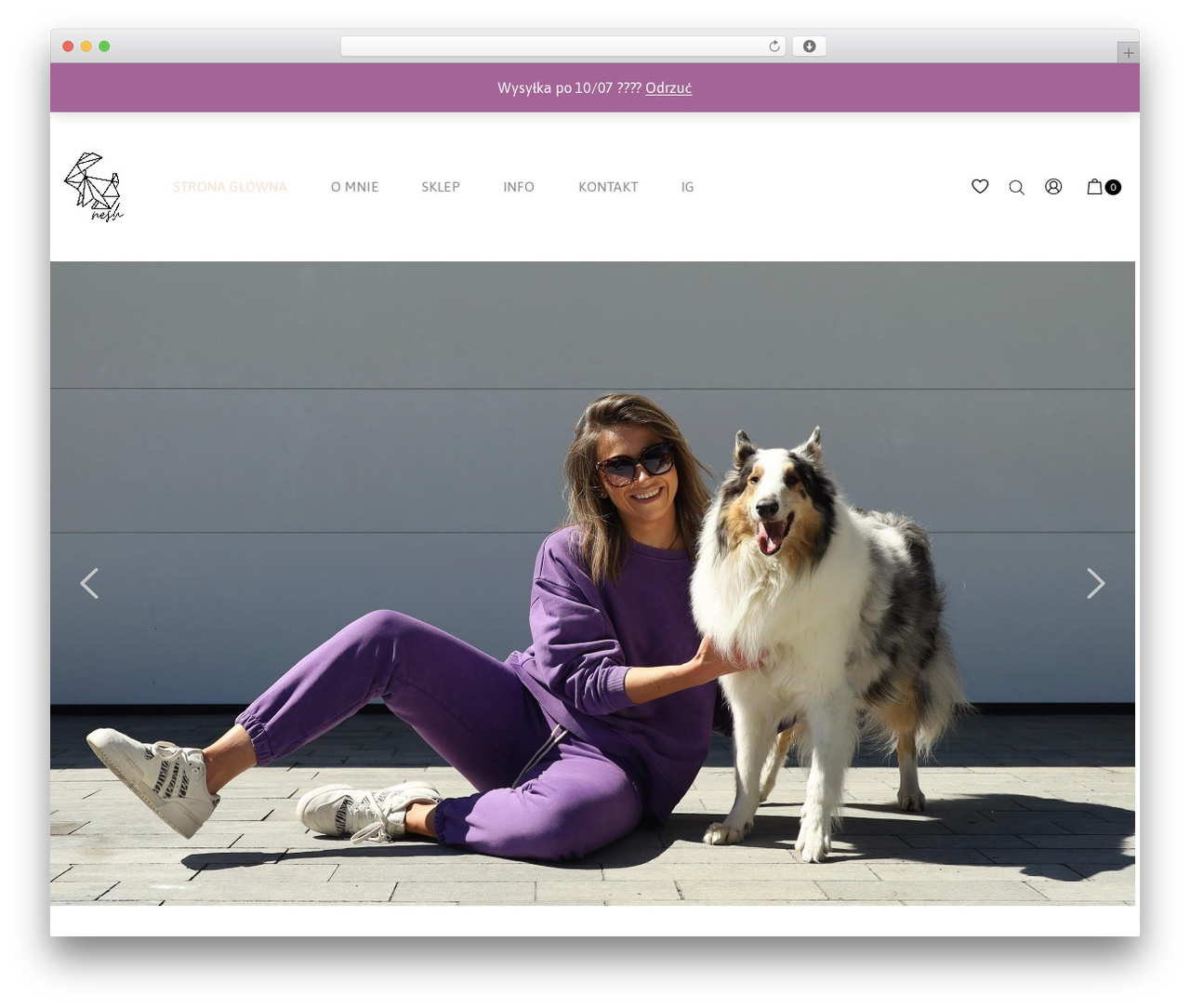 Anon WordPress theme - nesh.pl Anon WordPress theme - nesh.pl