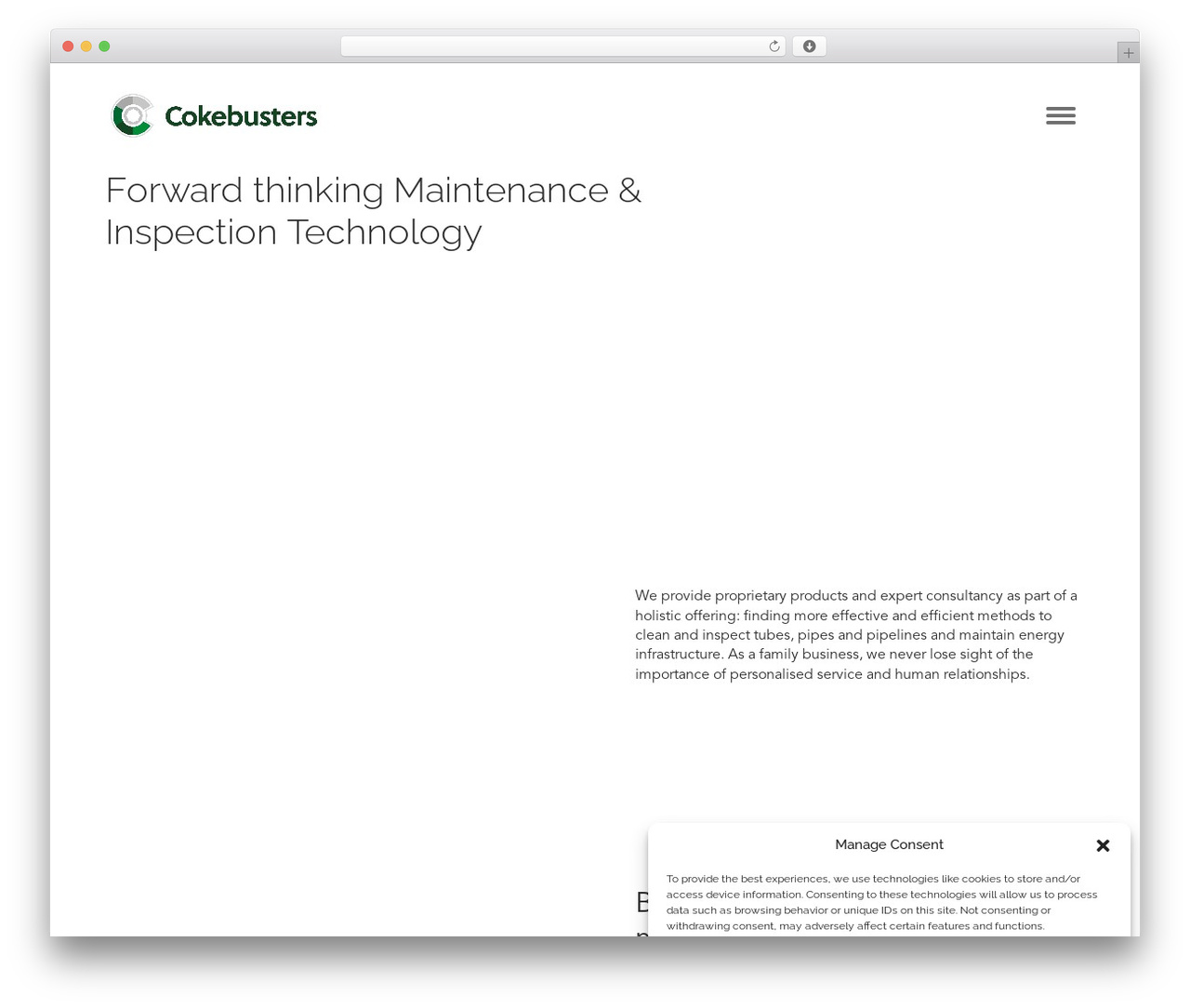 ArmstrongB2B® Development Theme WordPress website theme - cokebusters.com ArmstrongB2B® Development Theme WordPress website theme - cokebusters.com