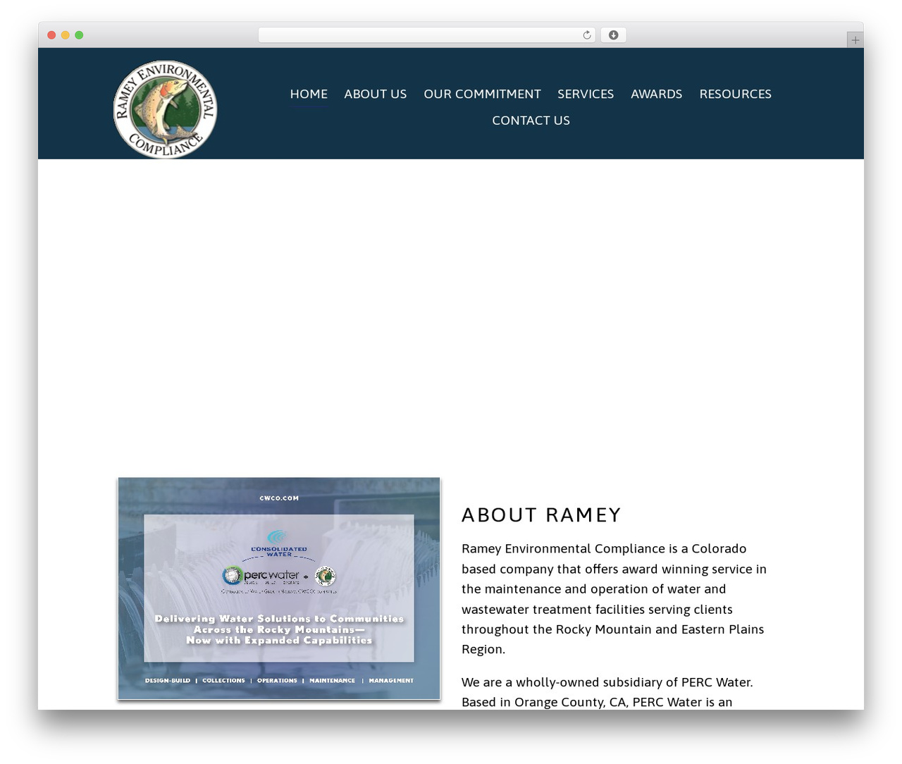 Basic free WP theme - recinc.net