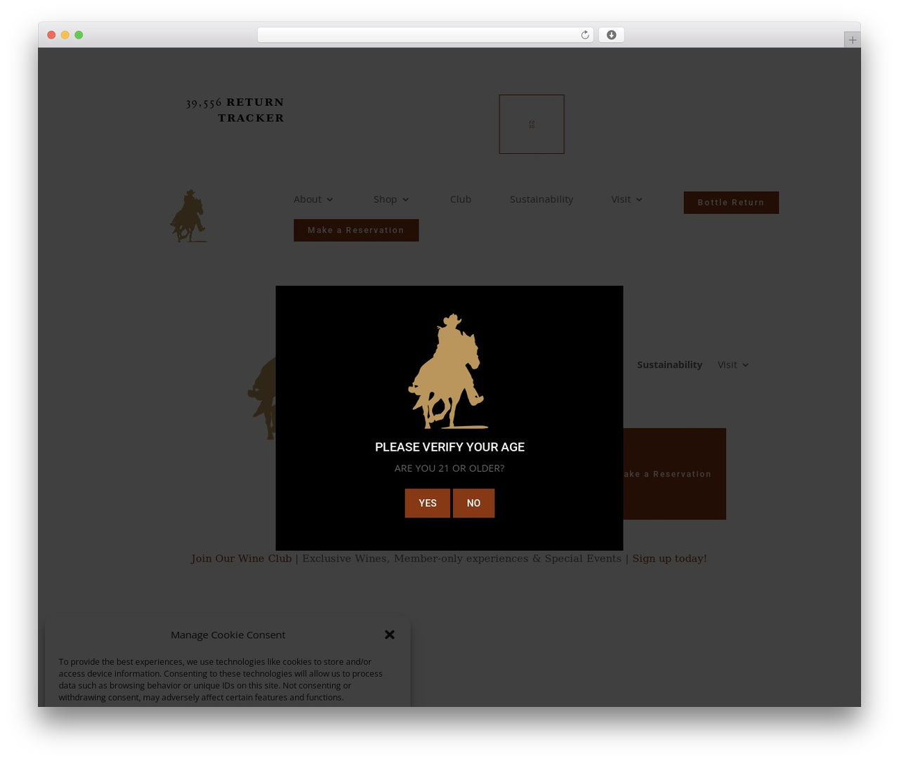 Divi WP theme - lecel.com