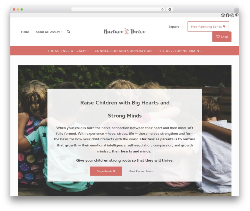 Mai engine WordPress plugin - nurtureandthriveblog.com
