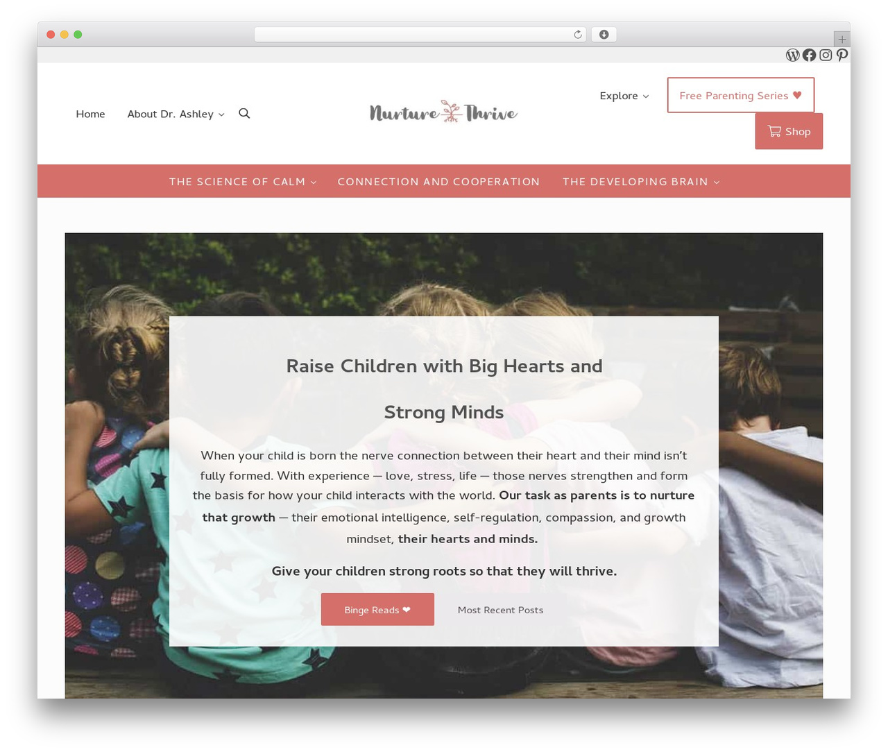 Genesis WordPress theme - nurtureandthriveblog.com
