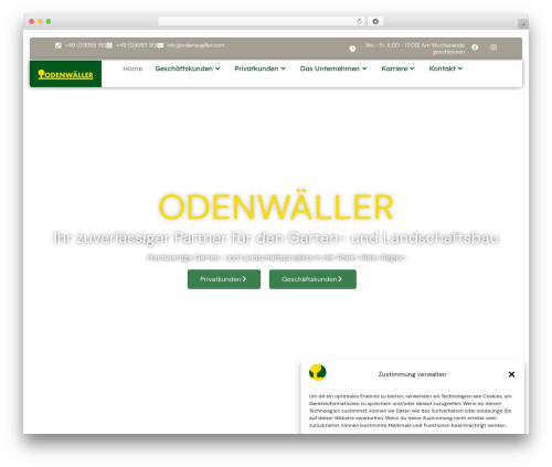 Inavii social feed for elementor WordPress plugin - odenwaeller.com