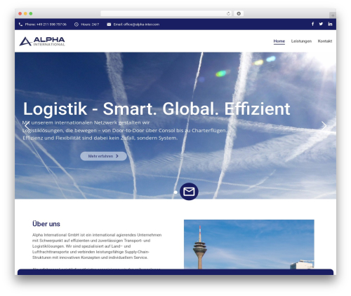 Themecore WordPress plugin - alpha-inter.com