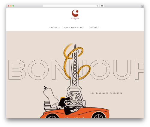 Amedeo core WordPress plugin - cameleons-rh.com