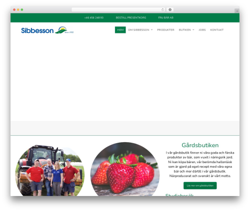 Visual Composer Starter WordPress theme free download - sibbesson.se