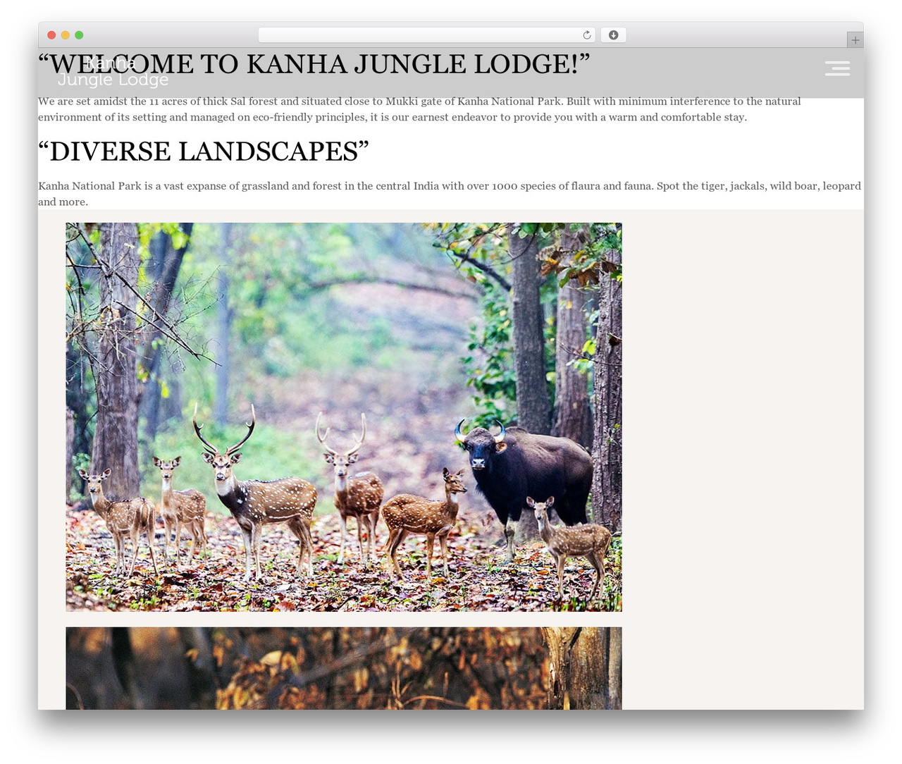 WordPress theme Pingash - kanhajunglelodge.com