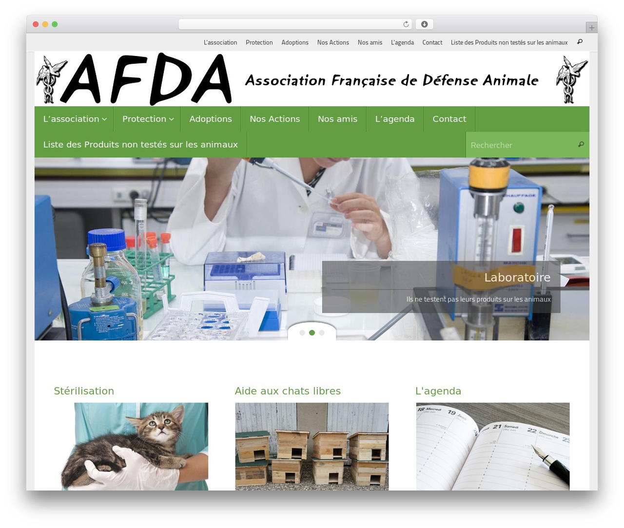 WordPress theme Tempera - afdalyon.fr WordPress theme Tempera - afdalyon.fr