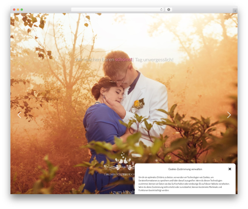 OTW TinyMCE Widget (otw-tinymce-widget) free WordPress plugin - traumhochzeitsfotografie.de OTW TinyMCE Widget (otw-tinymce-widget) free WordPress plugin - traumhochzeitsfotografie.de